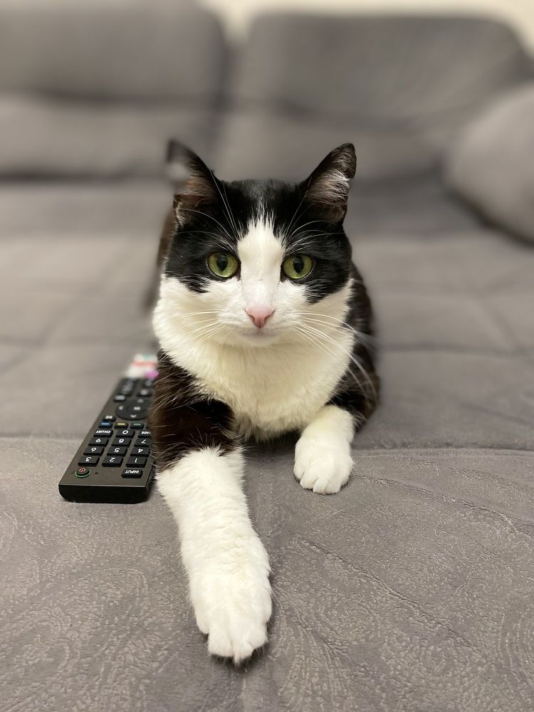 Photograph by Сергей Александрович