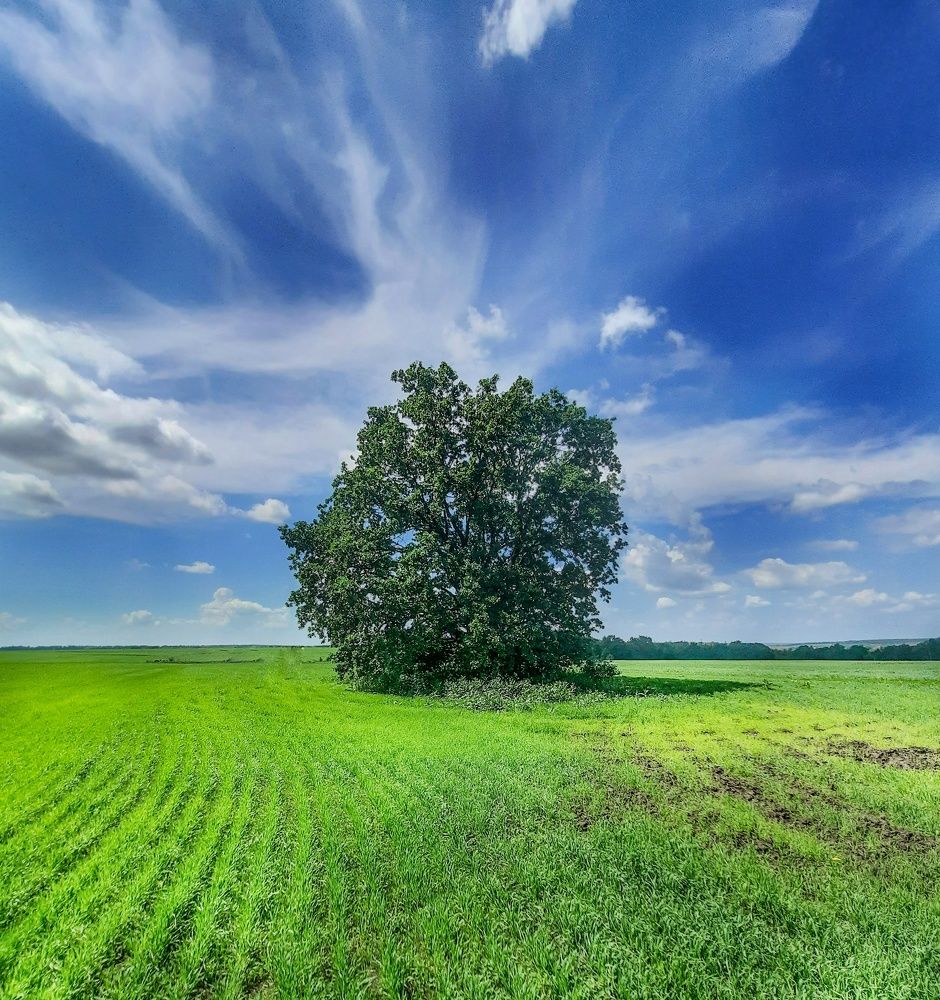 Фотография автора Irina Vornacheva