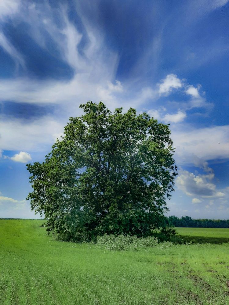 Фотография автора Irina Vornacheva