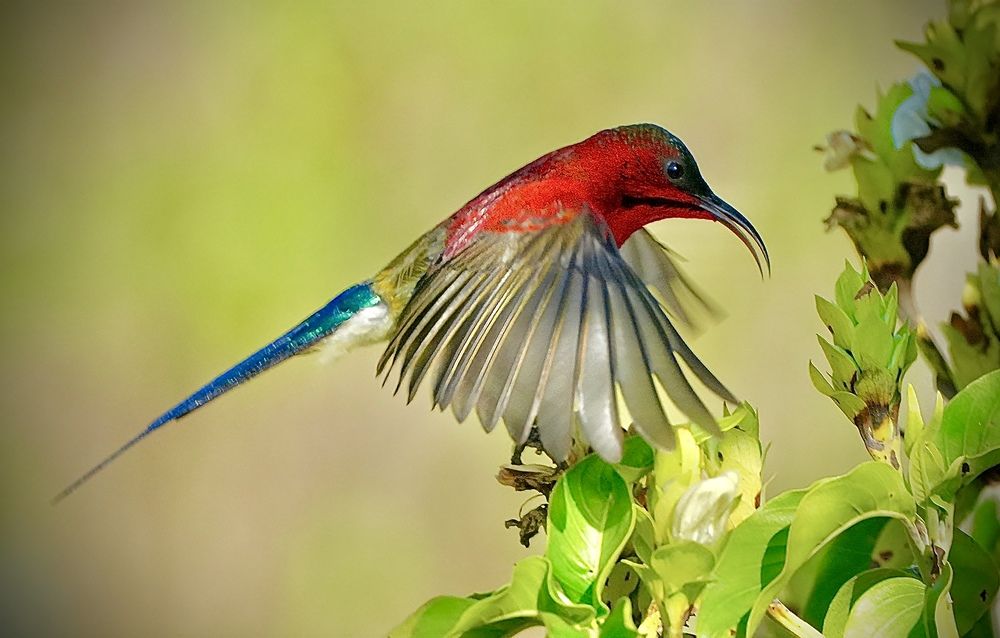 Photograph by Sankalp Rajvanshi