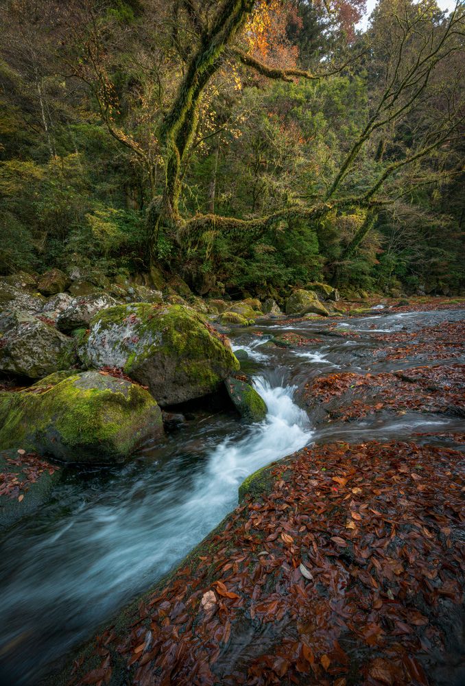 Photograph by HIROTOMO NAKAHARA