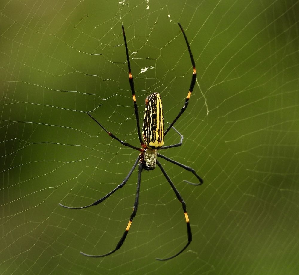 Photograph by Sankalp Rajvanshi