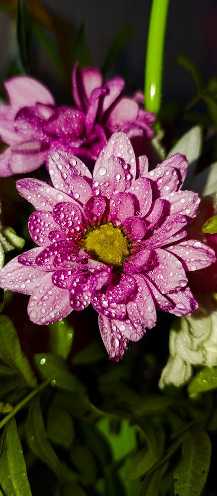 Photograph by Анастасия