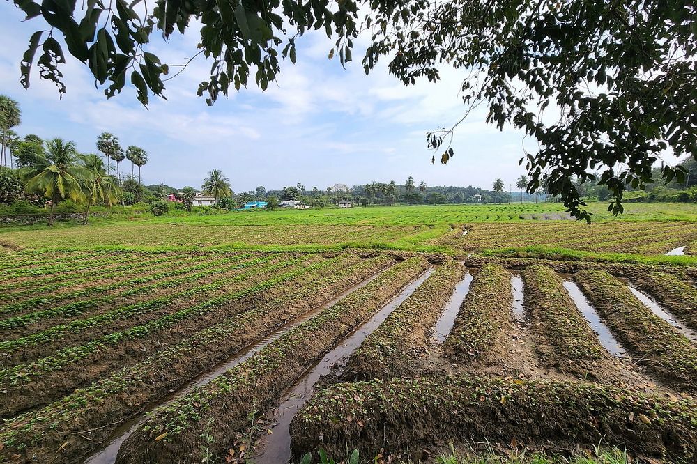 Photograph by Sudhakaran Kookiri