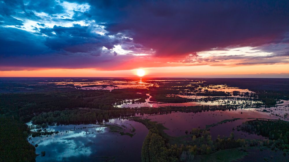 Photograph by Михаил Лаптев