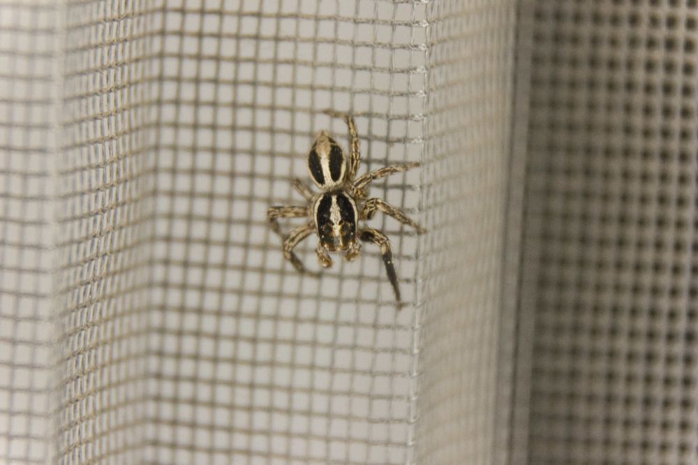 Photograph by alikan Evcil