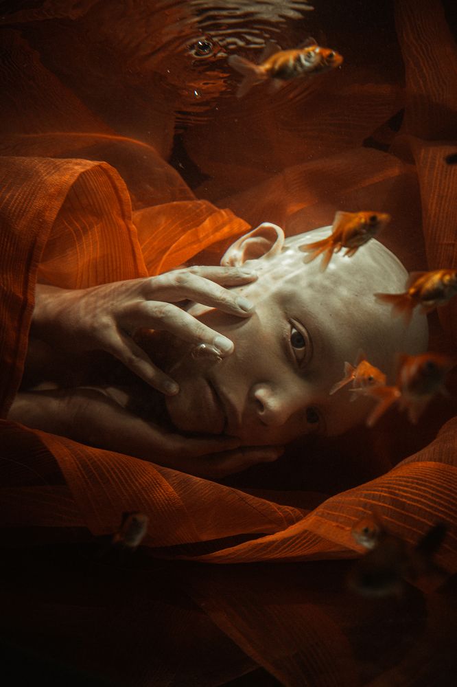 Photograph by Щеглова Марина