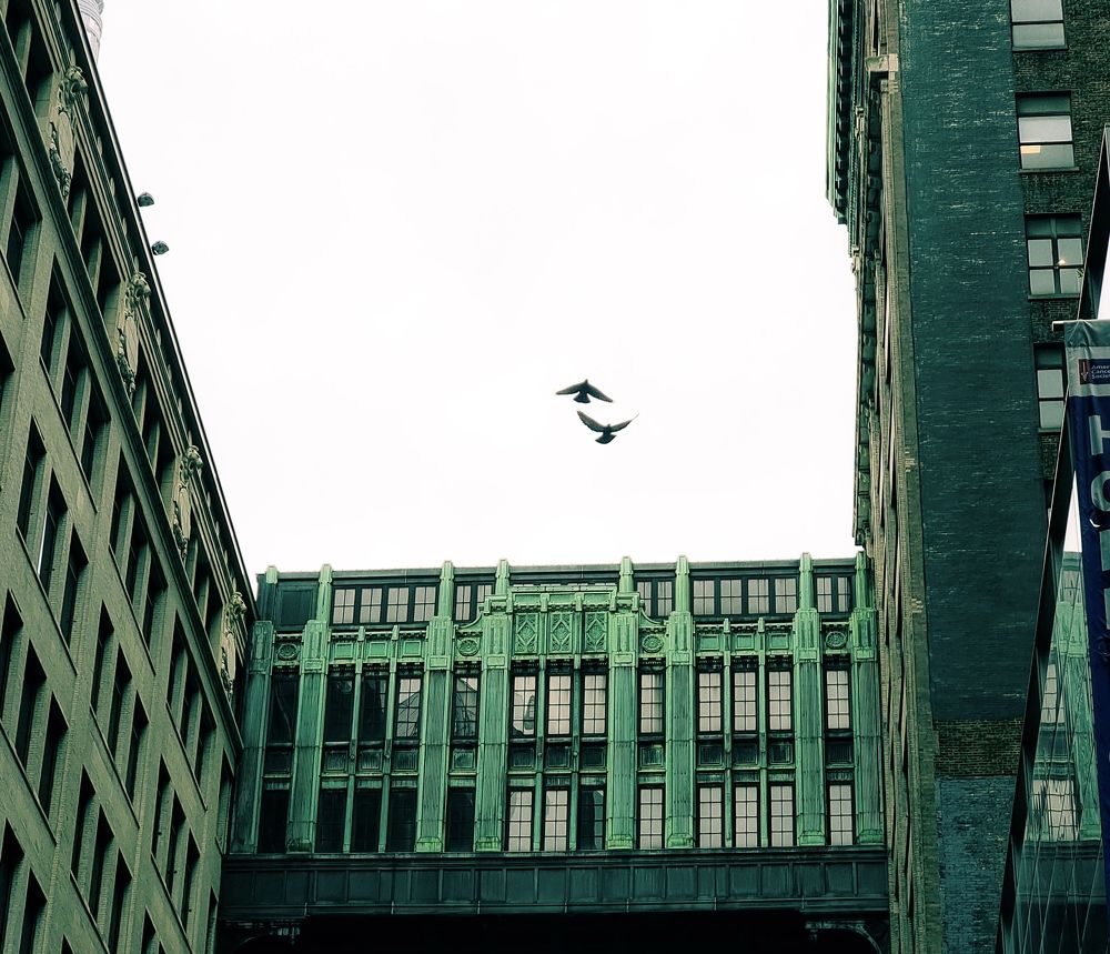 Фотография автора Judita L.