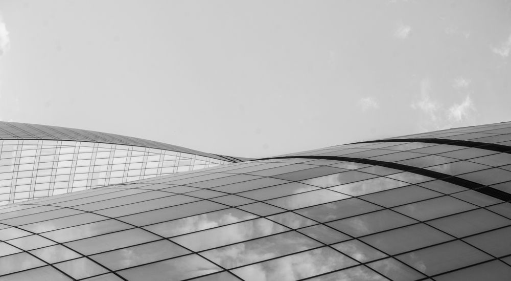 Photograph by Sallys Vision