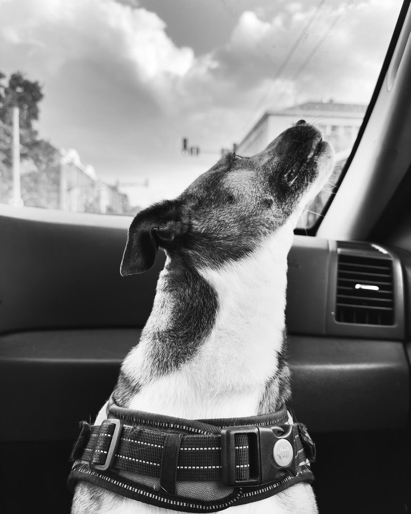 Фотография автора Judita L.