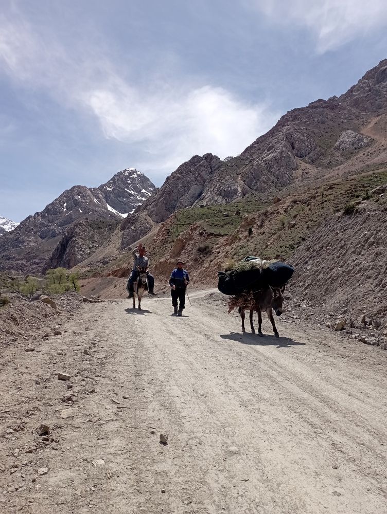 Фотография автора Natalia Khodina