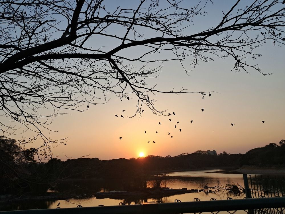 Photograph by Shreyashi Sengupta