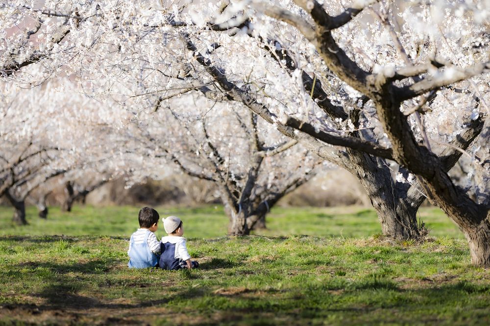 Photograph by photo_booooy