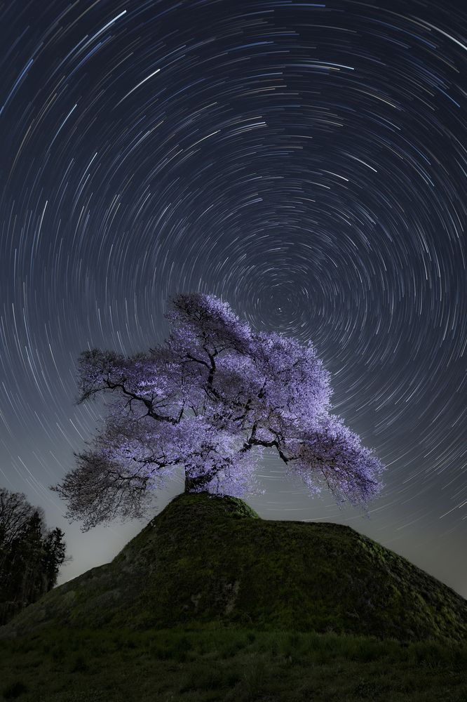 Photograph by photo_booooy