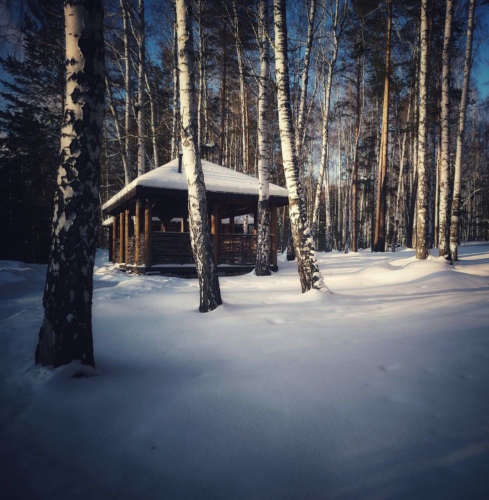 Фотография автора Плешков Игорь