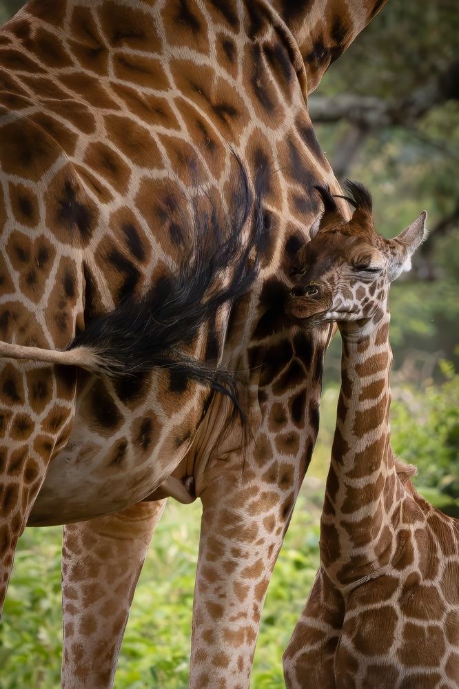 Photograph by Popiyakova Natalia