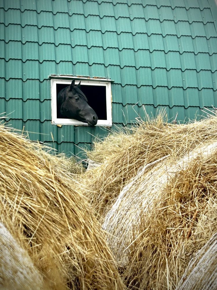 Photograph by Олег Князев