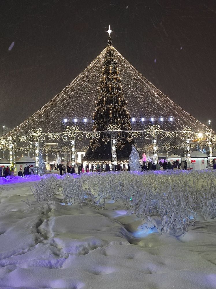 Зимнее чудо