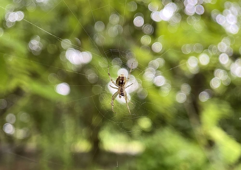 Photograph by Sumit Jadeja