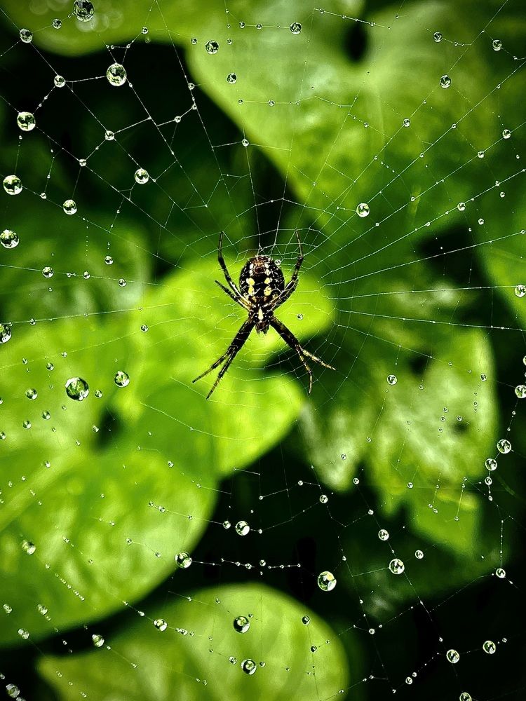 Photograph by Sumit Jadeja