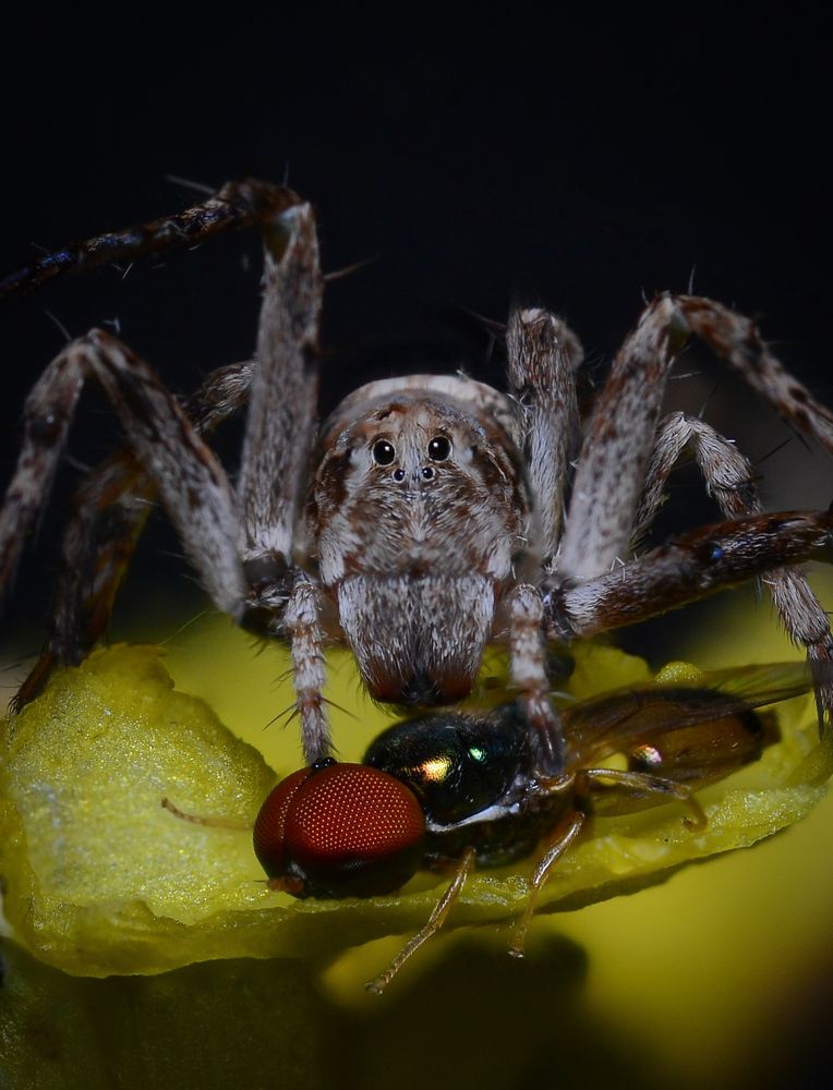 Photograph by Kasun Wickramasinghe