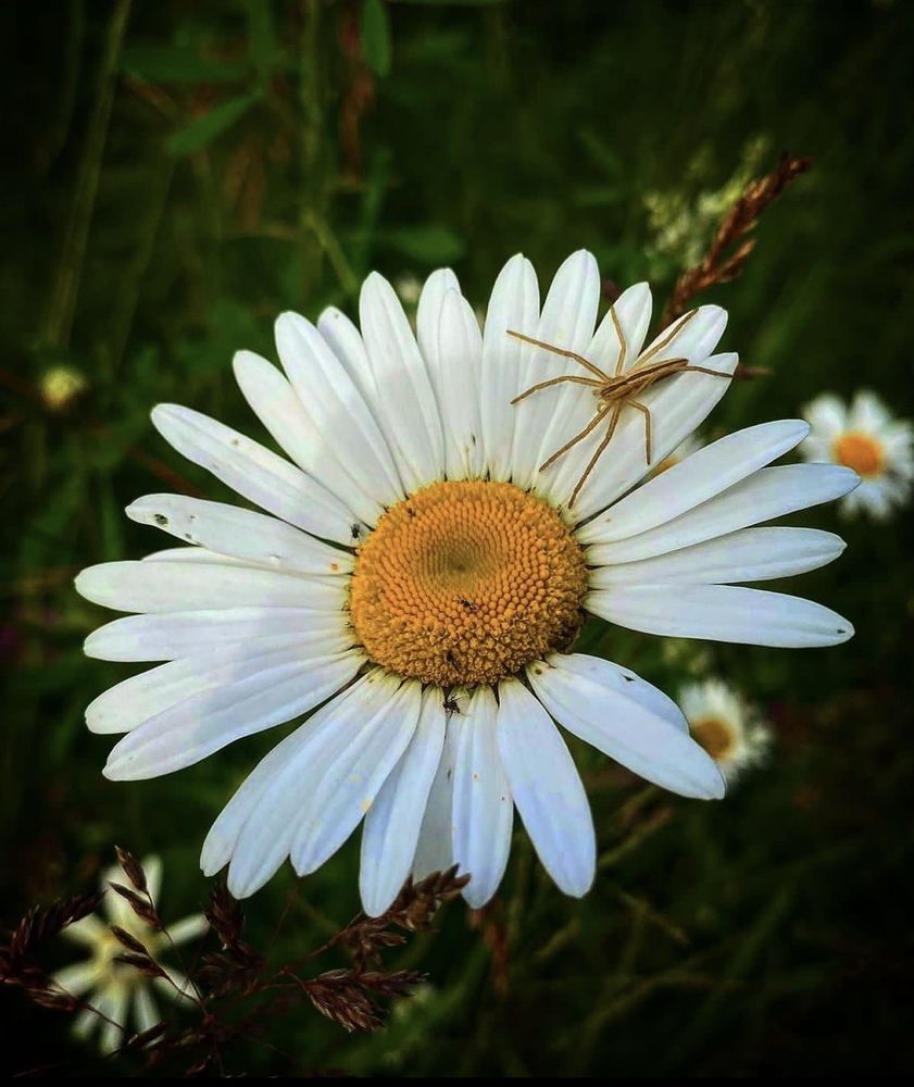 Photograph by Екатерина