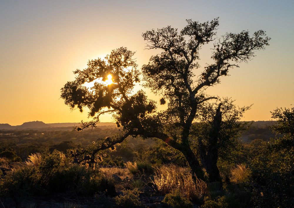 Photograph by Анатолий Костерев