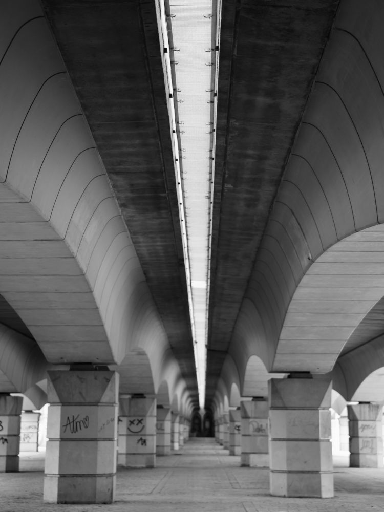 Photograph by Шевалье Татьяна