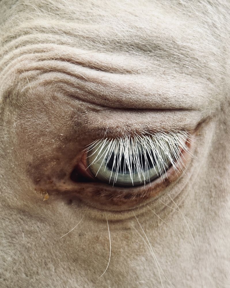 Photograph by Шевалье Татьяна