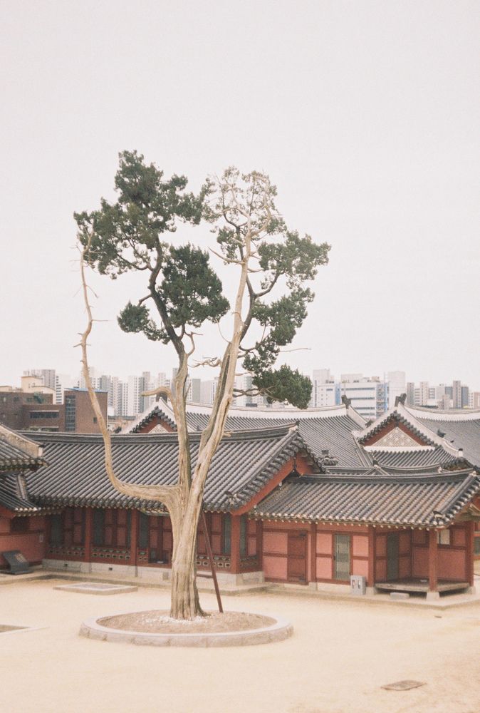 Photograph by Овчинников Илья