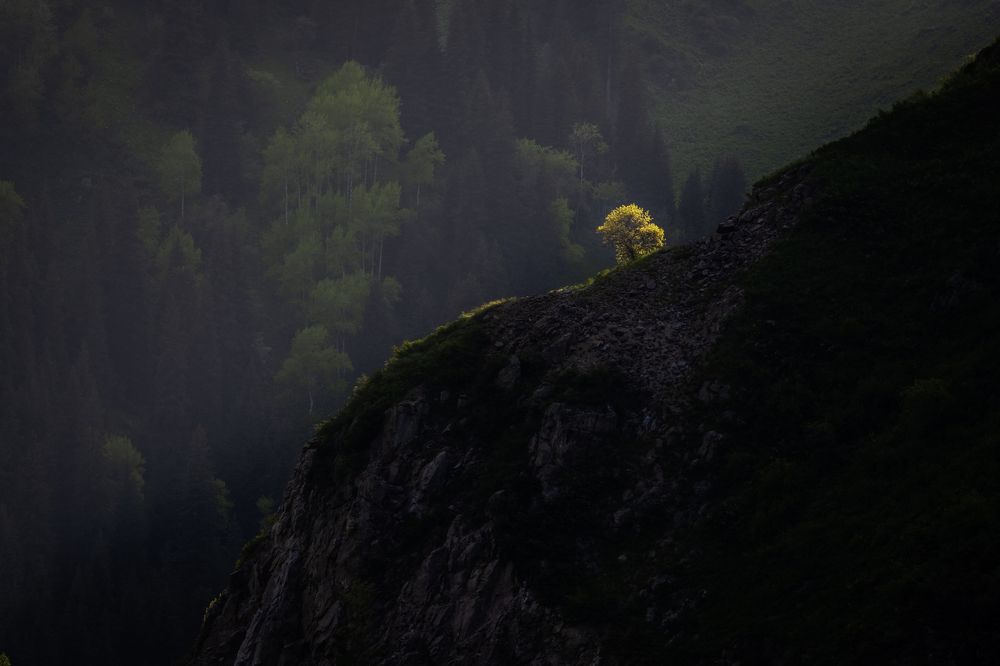 Photograph by Светлана Краюшкина