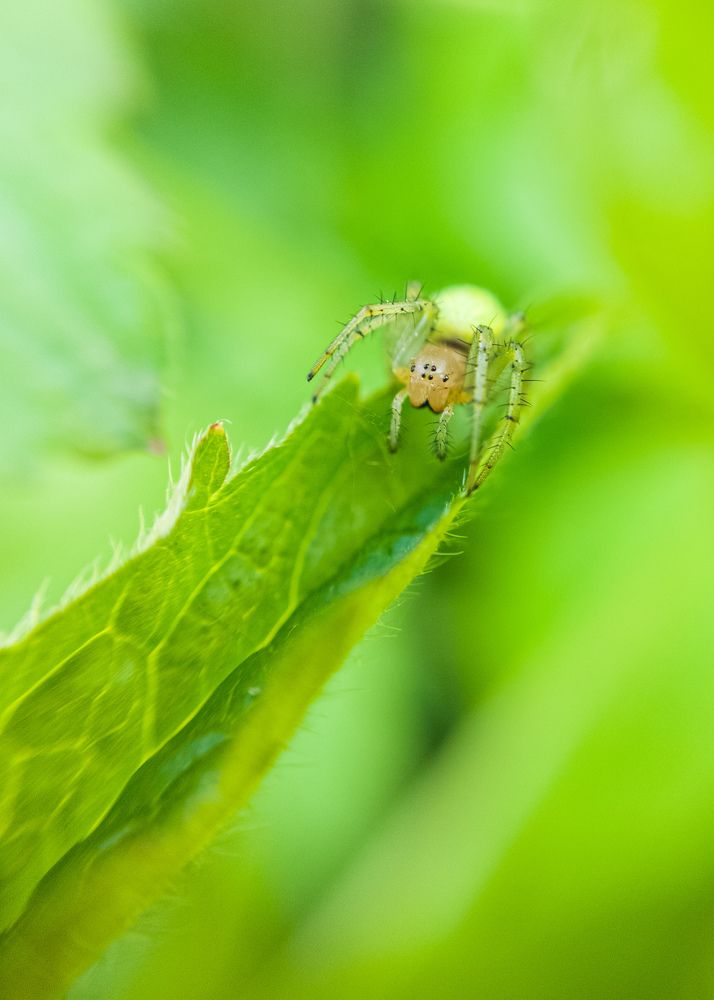 Photograph by Алексей Крукович