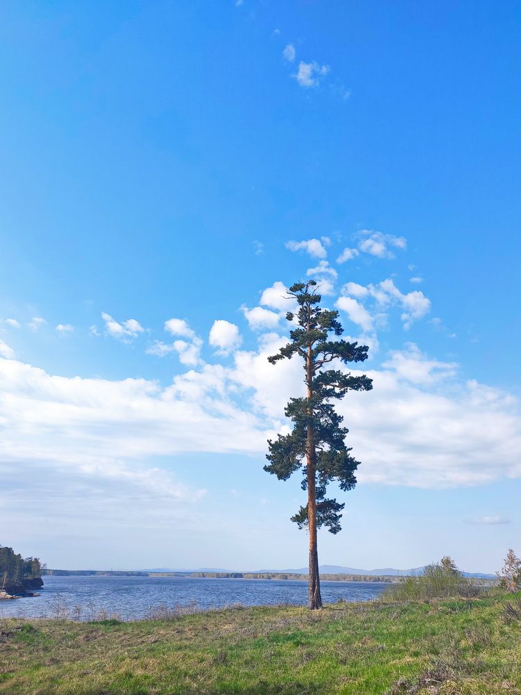 Photograph by Виталий Черепенькин