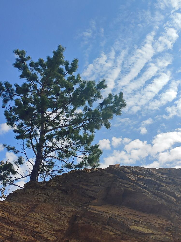 Photograph by Виталий Черепенькин