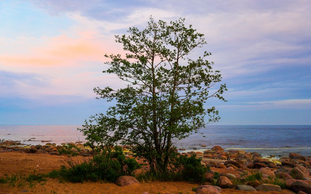 Photograph by Михаил Бояркин