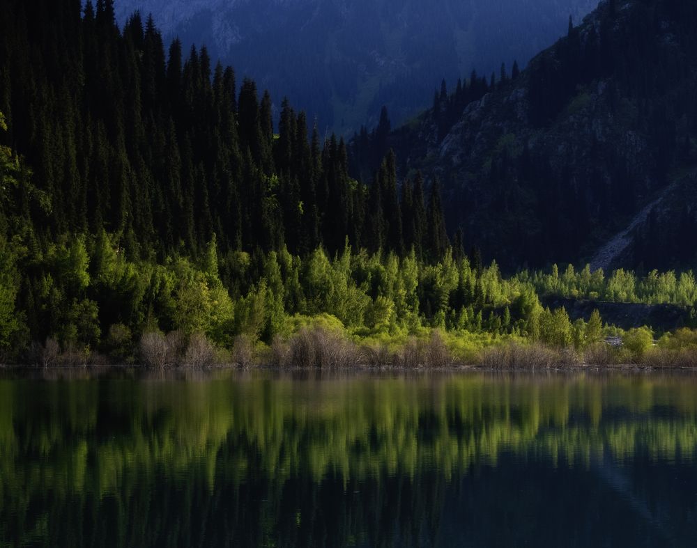 Photograph by Светлана Краюшкина