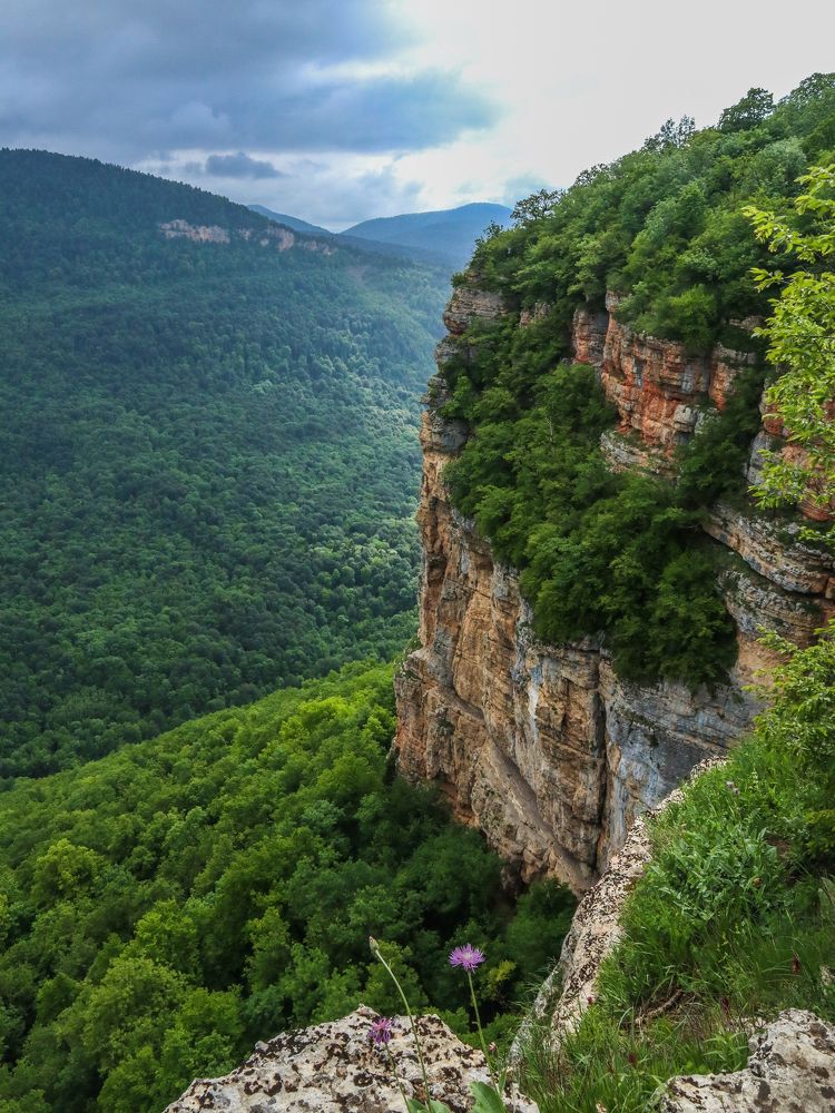 Photograph by Ирина Корабельникова