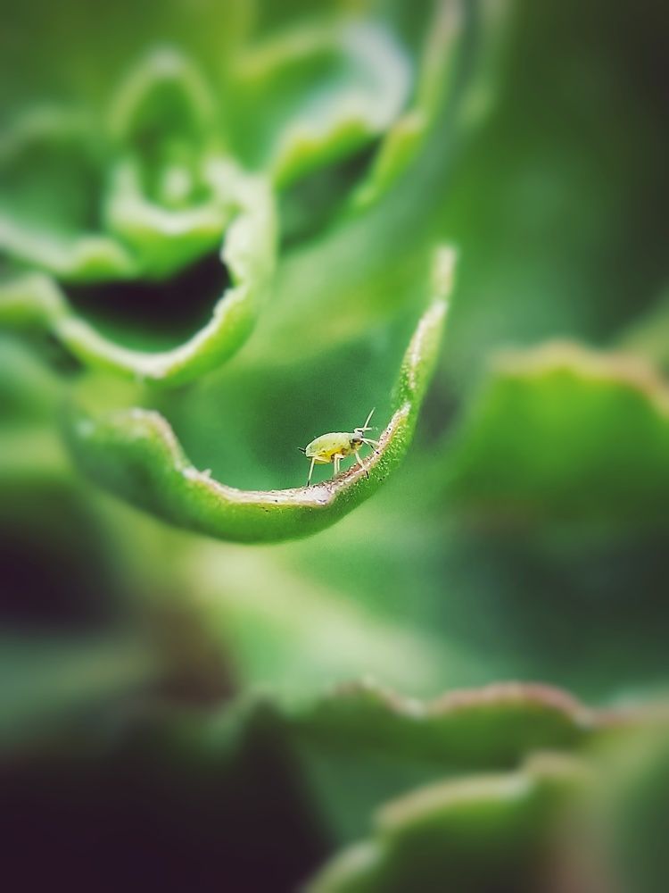 Photograph by Кристина Панченко