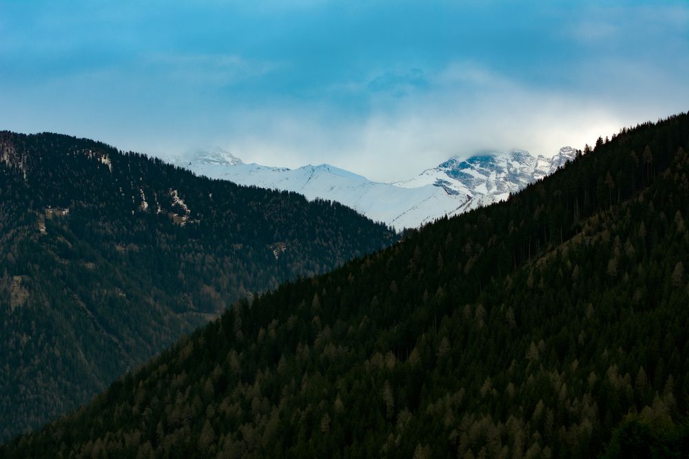 Photograph by Nicole Maria Oestreich