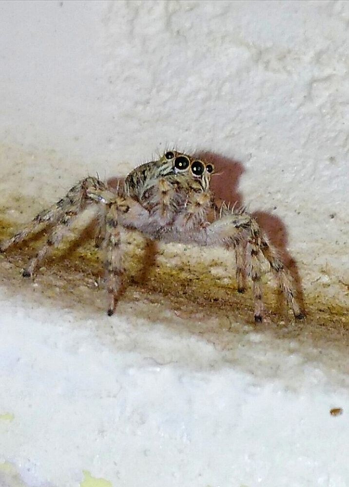 Photograph by m farzolahi