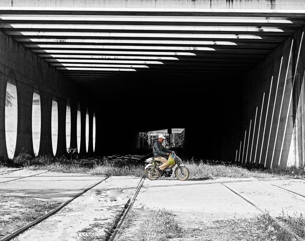 Photograph by Fares Salah eddine