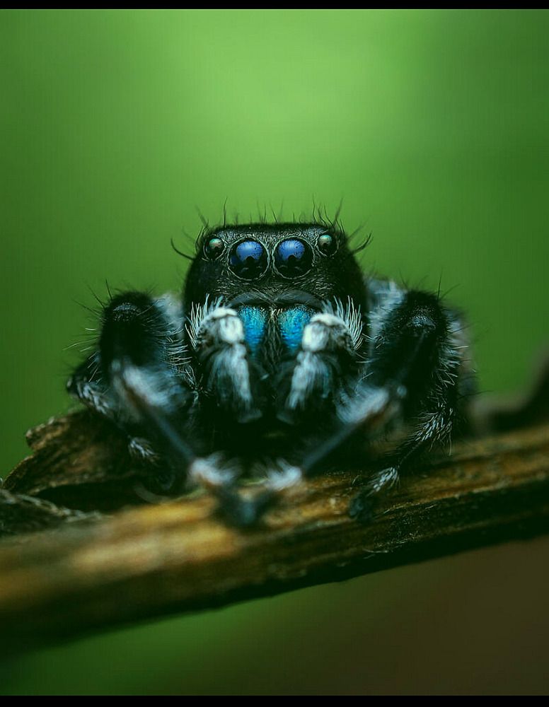 Photograph by m farzolahi