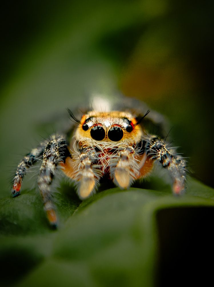 Photograph by Mridhula P M