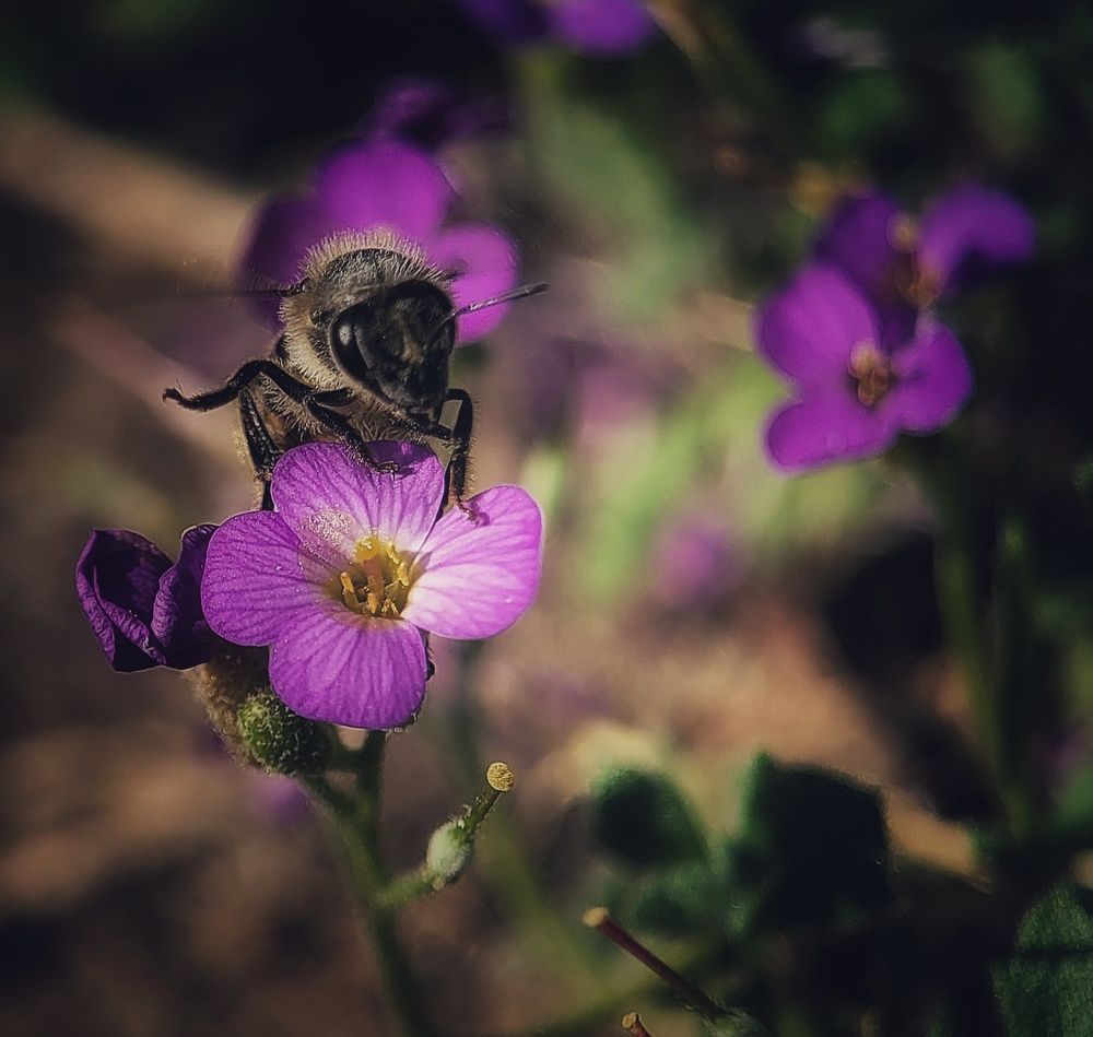 Photograph by Алексей Горин