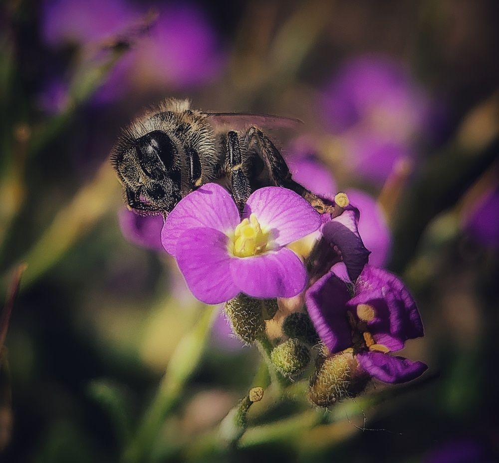 Photograph by Алексей Горин