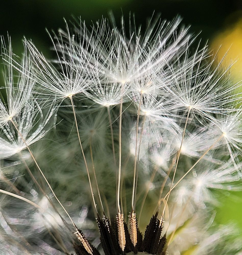 Photograph by Алексей Горин