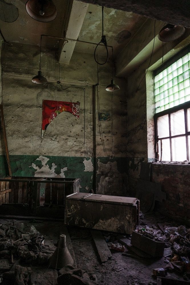 Photograph by Александр Нестеров