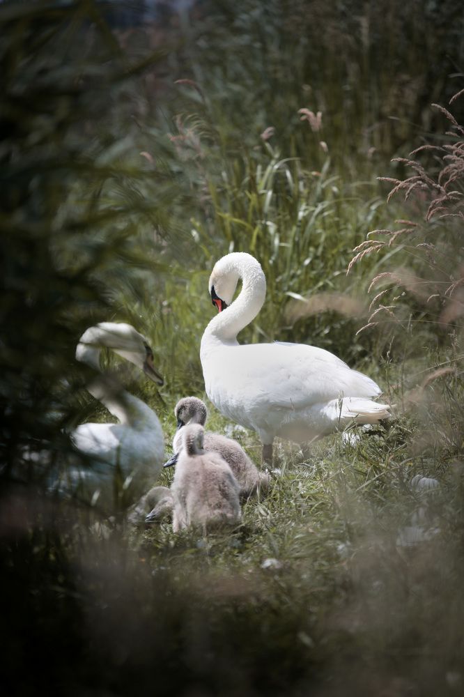 Photograph by Patrycja Dawid