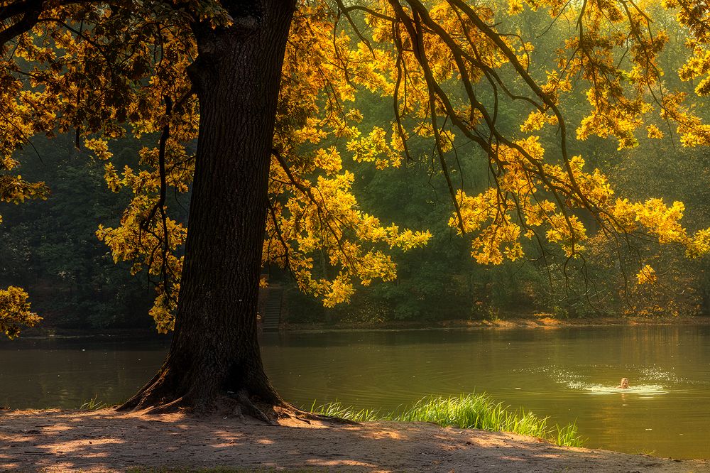 Photograph by Michel