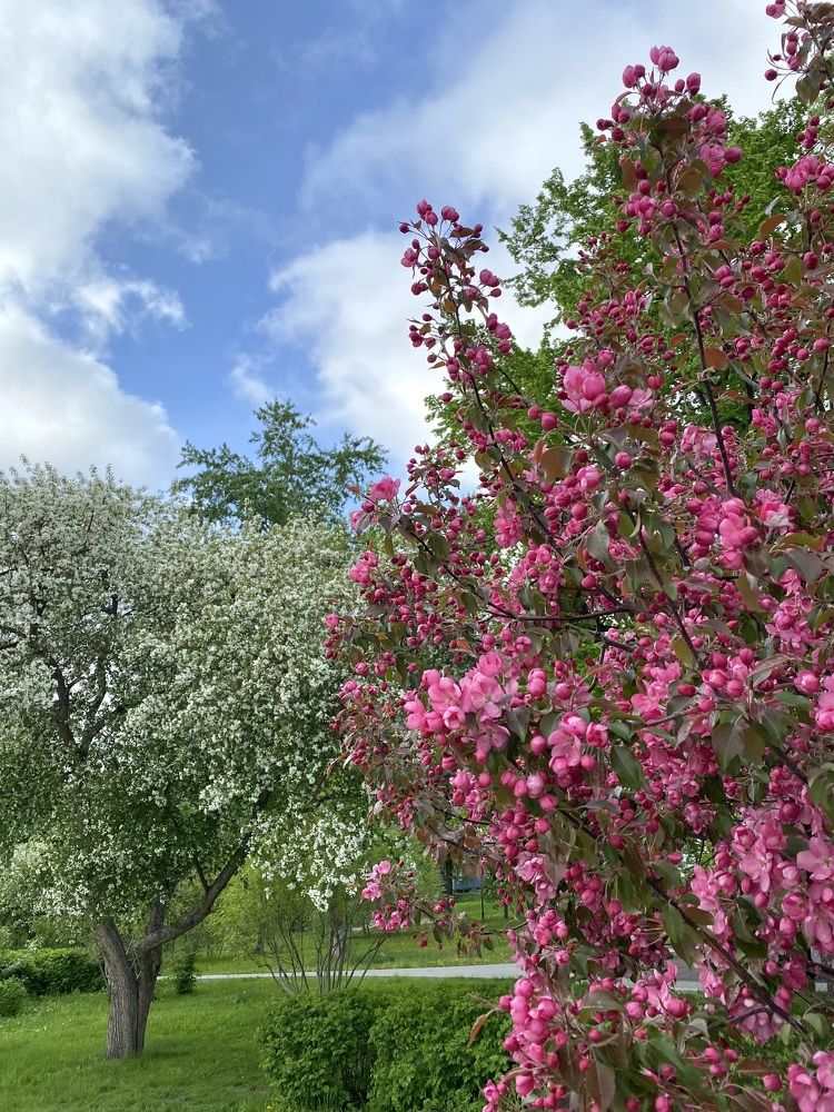 Photograph by Алиса Лукина